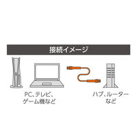 ナカバヤシ カテゴリー6A 固定できるLANケーブル ブラック 10m C6A-K100BK 1個