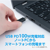 ナカバヤシ USB2.0 延長ケーブル TypeーC PD100W対応 1m ブラック USB-EC2010BK 1個
