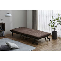 アイリスオーヤマ 折りたたみベッド OTB-BRR ブラウン 1台（直送品）