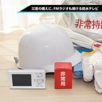 ダイアモンドヘッド 防水3.2インチワンセグTVラジオ OT-1WPT30TE 1台（直送品）