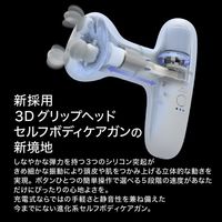 大東電機工業 スライヴ スリースタイルガン ブラック BMー01(BK) 1台