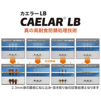 山喜産業　ストロングクイックビス　カエラーＬＢ　シーリング六角　５×１９　ドリルビス　1箱(300本入)（直送品）