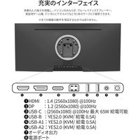 JAPANNEXT 29インチ ウルトラワイド液晶モニター　TypeーC給電 JNーIPS291WFHDRーC65W 1台