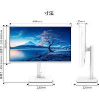 JAPANNEXT 27インチワイド 4K液晶モニター Type-C給電 JN-IPS27UHDR-C65W-HSP-W 1台