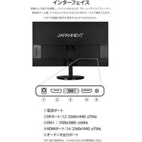 JAPANNEXT 23.8インチ ワイド液晶モニター JNーIPS2380FLWQHDーN 1台