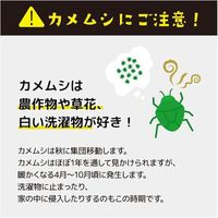 さよならカメちゃん　掛けタイプ 1個 グローバルジャパン