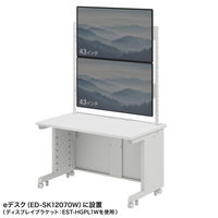 サンワサプライ eデスク用ハンギングバー W1200用 2段 ホワイト EST-HG1202W 1台（直送品）