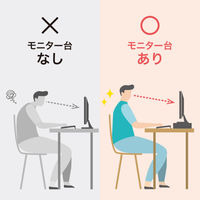 サンワサプライ 卓上モニター台(ブラック) MR-LC103BK 1個（直送品）