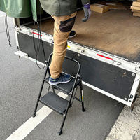 サンワサプライ 2段脚立 STL-1 1脚（直送品）