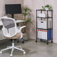 ドウシシャ ルミナスEXラック　4段　幅445×奥行295×高さ1040ｍｍ　ブラック