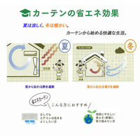 ユニベール コローレ BE W150xH178 4548654585413 1枚（わけあり品）