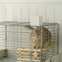 ファルマ キャッチシューPRO 150g 1セット（1個×3）