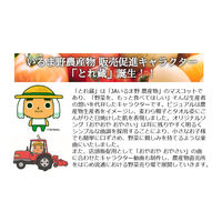 マコト 埼玉県産 金いりごま 30g チャック付 1個