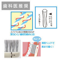 歯科医推奨 エコデント ライスレジン歯ブラシ ふつう 大人・子供向け 6色アソート 1セット（12本入）ラピス 限定（わけあり品）
