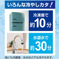 【熱中症対策】 マルエヌ スマートエコアイス Lサイズ ネッククーラー PCM素材 暑さ対策 冷感 NS-ECO28LB 1個（わけあり品）