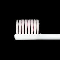 デントインステラ クリアウィンドEXハブラシ やわらかめ 1本 UFCサプライ