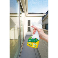 フィトンαカメムシよけスプレー 250mL 1セット（1本×3） タジマヤ