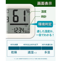 温湿度計 タニタ 大型デジタル温湿度計 大きい 日時時計表示  TTーA01 1個