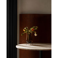 AUDO Copenhagen イシャスベース Sサイズ アンバー 71038-001046 1箱（直送品）