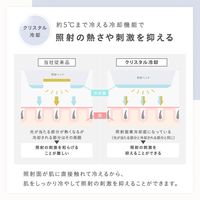 SALONIA（サロニア） フラッシュ クリスタル シルクエピ  I-ne