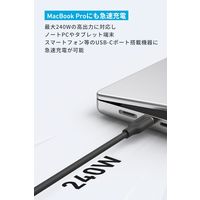 Anker PowerLine III Flow CtoC ケーブル 1.8m B8553012 1セット(2本セット)