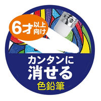 BICジャパン ビックキッズ消せる色鉛筆12色 BKEVOILLPK12 1セット（直送品）