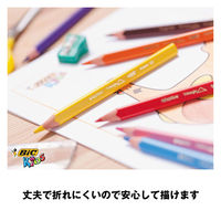 BICジャパン ビックキッズさんかく軸色鉛筆12色 BKEVOTRI12E 1セット（直送品）