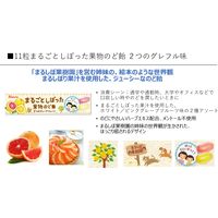 のど飴 キャンディー 飴 まるごとしぼった　果物のど飴　2つのグレフル味 11粒入 1セット（1個×20）