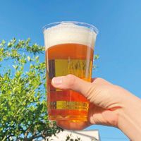 トーシン クリアカップ 24oz 約720ml 1セット（100個：50個入×2袋）