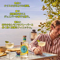 イタリア マルフィ ジン コン リモーネ 41度 700ml 1本 正規品 ペルノリカール