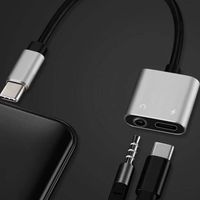 FSC イヤホン端子変換アダプターDAC TypeーC用PD対応充電機能付　＜シルバー＞  1個