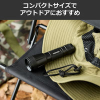 東芝 KFLー43(K) 1個