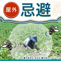 アース製薬 蚊取り線香 蚊 駆除 アース長持香 50巻 缶入 屋外 アウトドア 950053 1缶