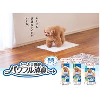 エリエール キミおもい パワフル消臭シート スーパーワイド 無香タイプ 18枚入 1袋 大王製紙