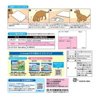 エリエール キミおもい パワフル消臭シート ワイド 無香タイプ 44枚入 1セット（1袋×4）大王製紙