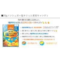 キャンディ 個包装  ノンシュガー 塩キリっと果実キャンディ 70g 1セット(1個×12) カンロ