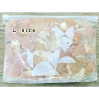 スライダーバッグ マチ付き L A4ヨコサイズが入る 食品保存袋 冷蔵・冷凍対応 1箱（15枚入） オリジナル（わけあり品）