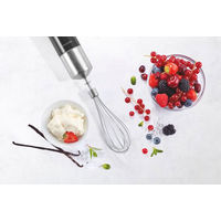 ZWILLING J.A.HENCKELS 【ツヴィリング】 エクステンド ウィスク(ブレンダー用アクセサリー) 53999-044-0 1個