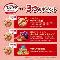 フルグラボール 1箱（10g×50袋） カルビー シリアル