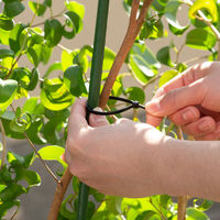 サンワサプライ  結束バンド（屋外用・耐候性・長さ150mm・幅3.6mm・50本入り） CA-622UV（直送品）