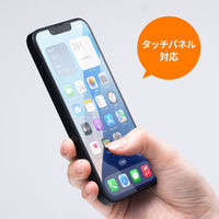 サンワサプライ  液晶保護フィルム（強化ガラス・Apple iPhone 16e） PDA-FIP16EG（直送品）