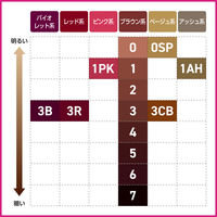 ブローネ 泡カラー 白髪染め 6 ダークブラウン 花王
