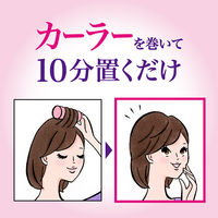 Segreta（セグレタ） カーラーでふっくら仕上げウォーター 100ml 花王