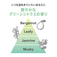 サクセス24 クレンジングシャンプー 爽やかなグリーンシトラスの香り ポンプ 本体 350ml 清潔感スタンバイ！