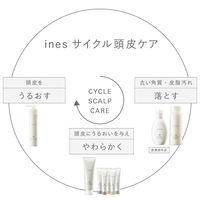 ｉｎｅｓ イネス　ボタニカルアロマ スカルプトリートメント 40g×5種類の香り 花王