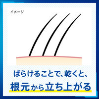 サクセス リフトアップリンス 髪ふわっと 本体 400ml 1本
