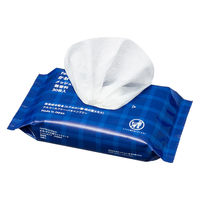 からだふき　ウェットタオルかお・からだ用ウェットシート　大判厚手　メッシュタイプ　無香料　ノンアルコール　1パック（30枚入）　からだふき　ボディシート