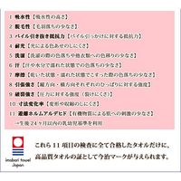 林 タオルハンカチ　日本製(今治)　ガーゼパステルムーン　10枚セット　アイボリー PK209613 1セット(10枚入)（直送品）