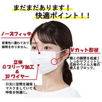 アイリスオーヤマ　デイリーフィットマスク ナノエアーフィルタープラス ふつう PN-DNI30L 1箱（30枚入）