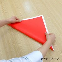 エヒメ紙工 大きいサイズのおりがみ ビッグ 35cm 20色 K-5235 1セット(1冊(20枚入)×5)